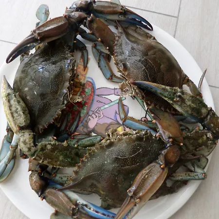 Lejlighedshotel Soleanna 4*